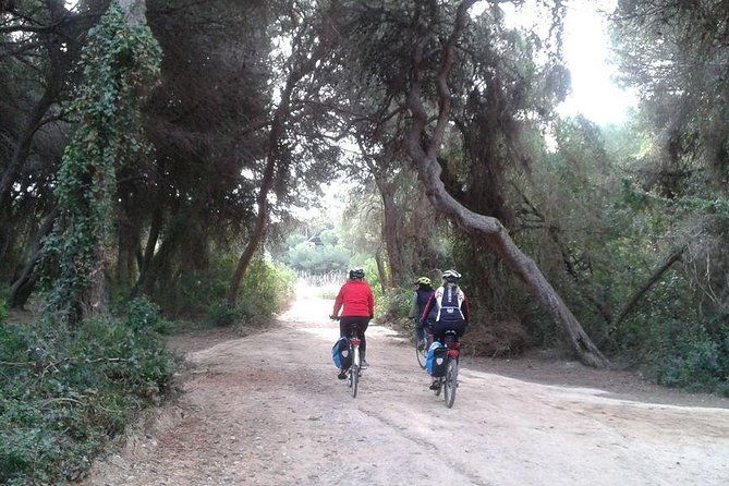valencia-bike-or-segway-tour