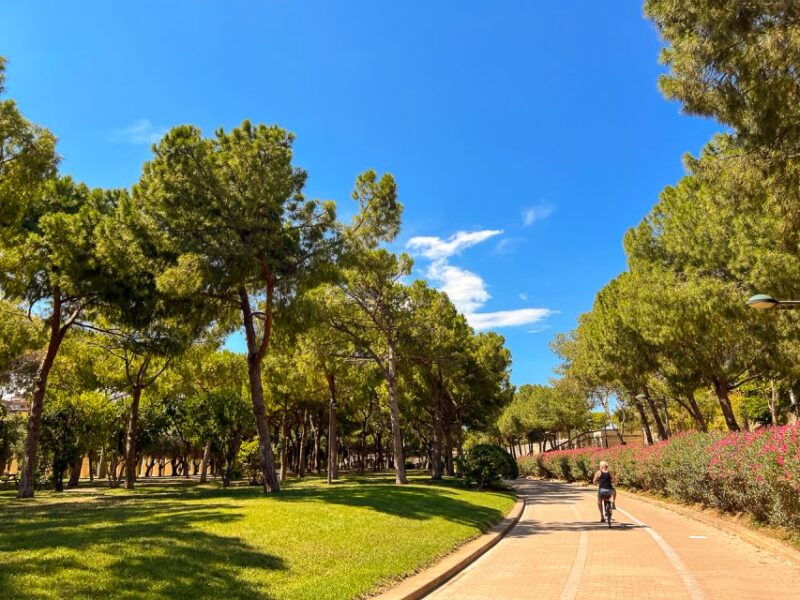 valencia-bike-tours-city-highlights