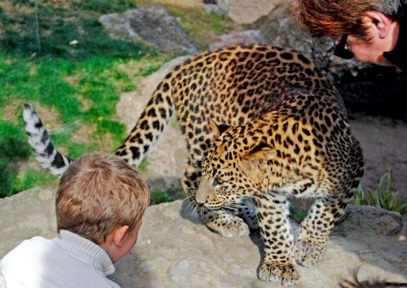 valencia-bioparc-valencia-admission-ticket
