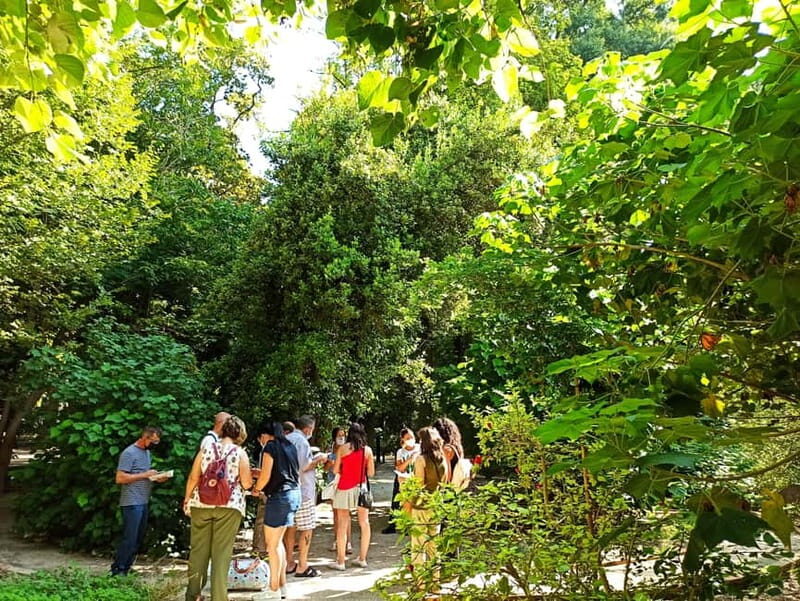 Valencia Botanical Garden Guided Tour - Key Points