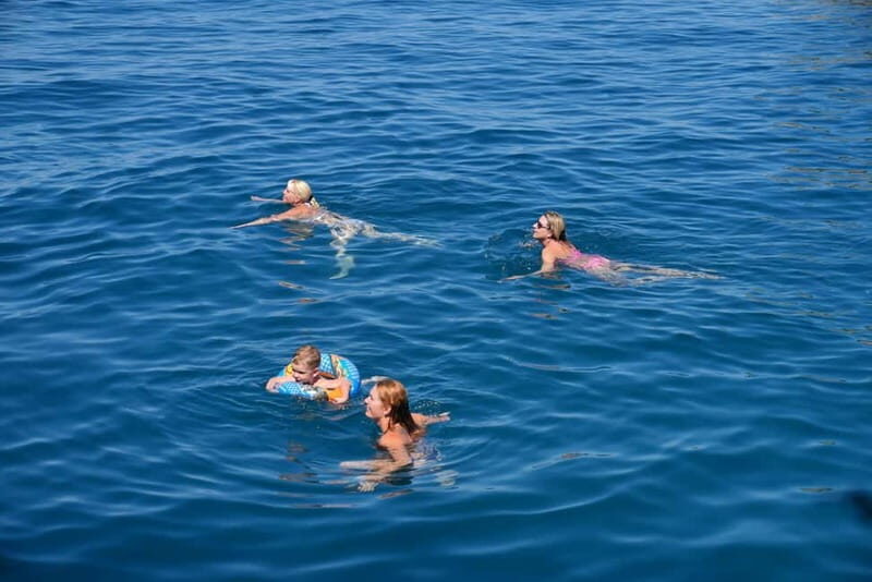 Valencia: Catamaran Adventure with Swimming Stop - Key Points