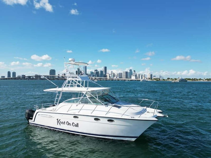 Valencia: Catamaran Boat Rental with Captain and Drinks - Key Points