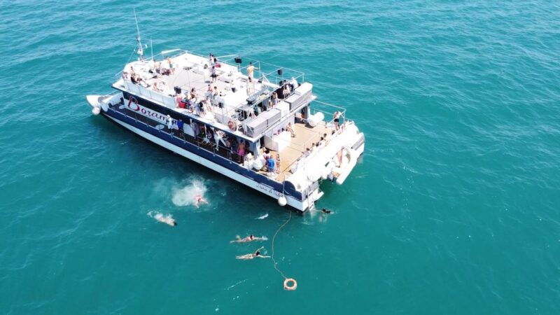 valencia-catamaran-cruise-with-stop-for-swimming