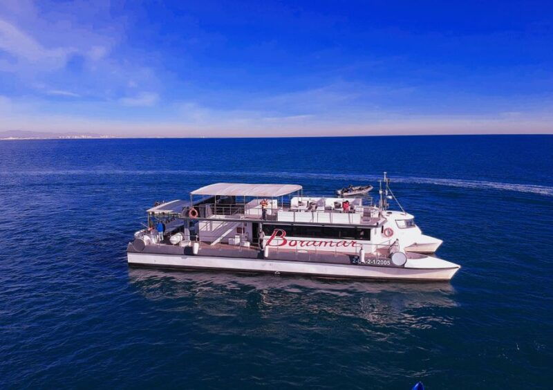 valencia-catamaran-cruise-with-stop-for-swimming