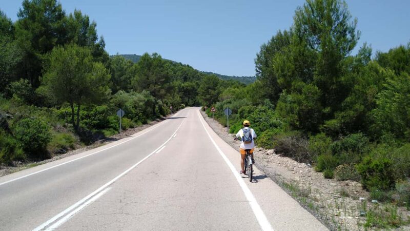 Valencia: E-Bike Tour Anna Waterfalls & Mini Alhambra - Authentic Experience and Local Flavor
