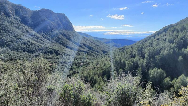 valencia-e-mountain-bike-tour-with-hotel-pickup