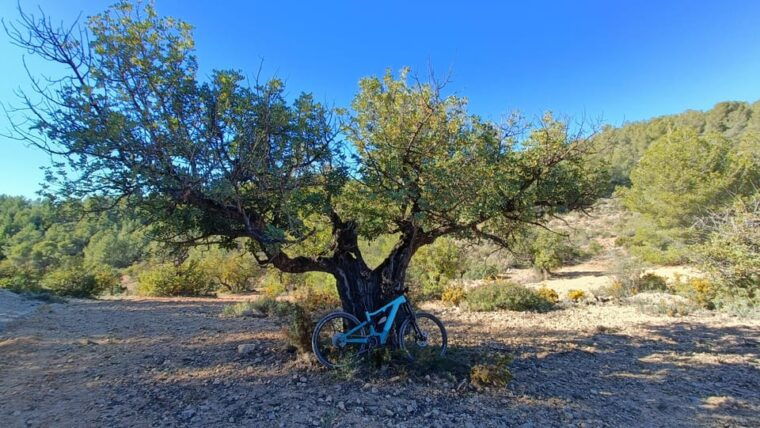 valencia-e-mountain-bike-tour-with-hotel-pickup