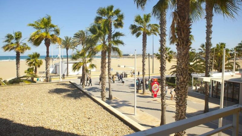 valencia-fantastic-segway-tour-from-the-center-to-the-beach