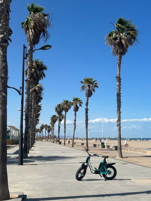 Valencia: FAT BIKE YAMAHA E-Bike Rental Experience - Who Will Love This Experience?