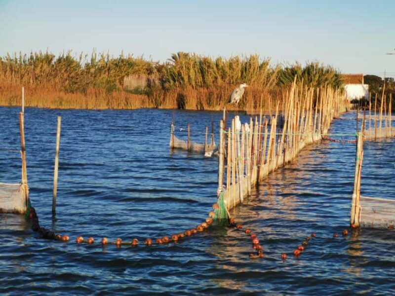 Valencia: Guided Lake Albufera Boat Ride and Barraca Tour - Key Points