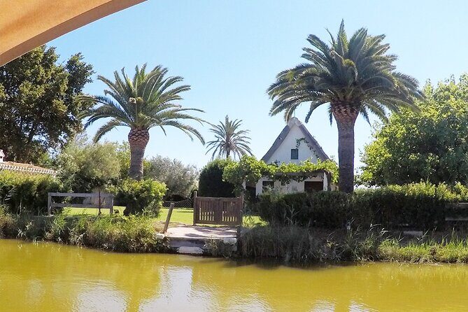 Valencia: Jeep Tour Albufera Park - Final Thoughts  