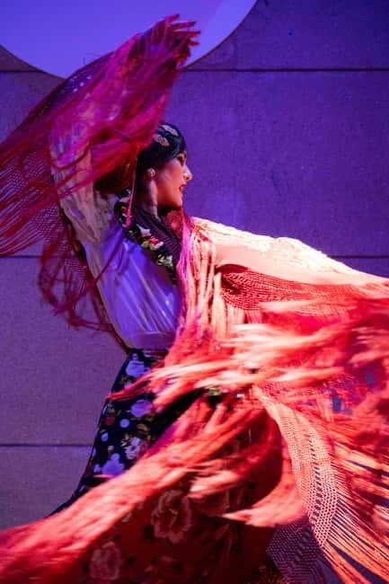 Valencia: La Reina Flamenco Show - What to Expect