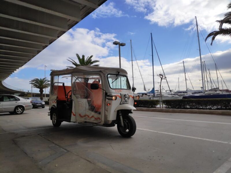 Valencia: Modern Tuk Tuk Tour (1h 30m) - Who Should Consider This Tour?  