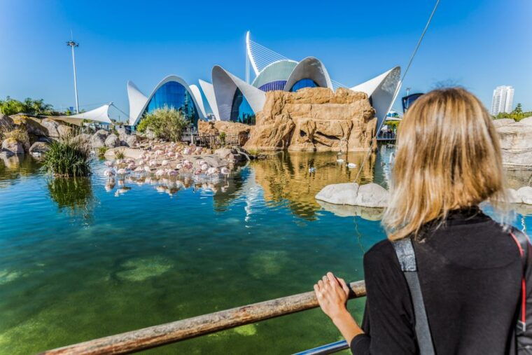 valencia-oceanografic-entry-ticket