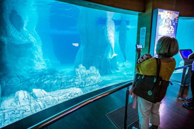 valencia-oceanografic-entry-ticket