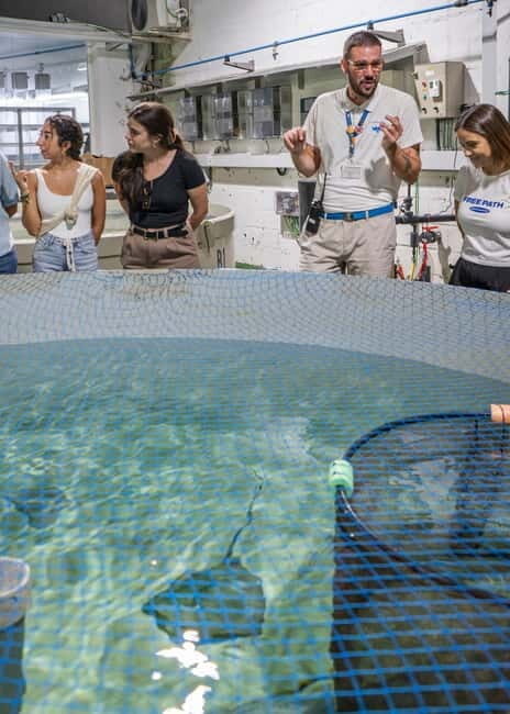 Valencia Oceanogràfic Entry with Backstage tour in Spanish - Discover the Secrets Behind Valencia’s Oceanogràfic