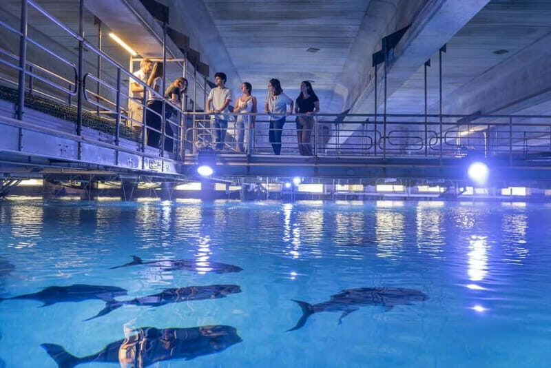 Valencia Oceanogràfic Entry with Backstage tour in Spanish - Why This Tour Offers Great Value