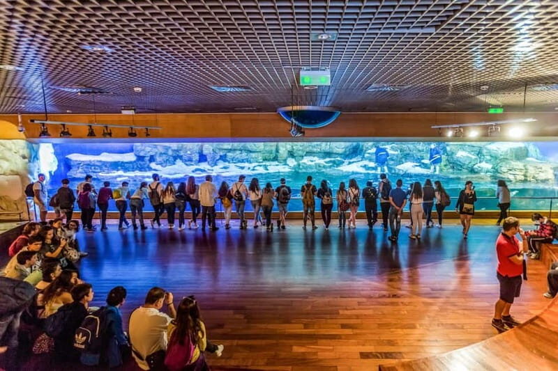 Valencia Oceanogràfic Entry with Backstage tour in Spanish - Who Will Love This Tour?