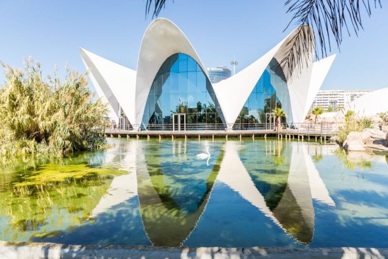 valencia-oceanografic-hemisferic-science-museum-combos