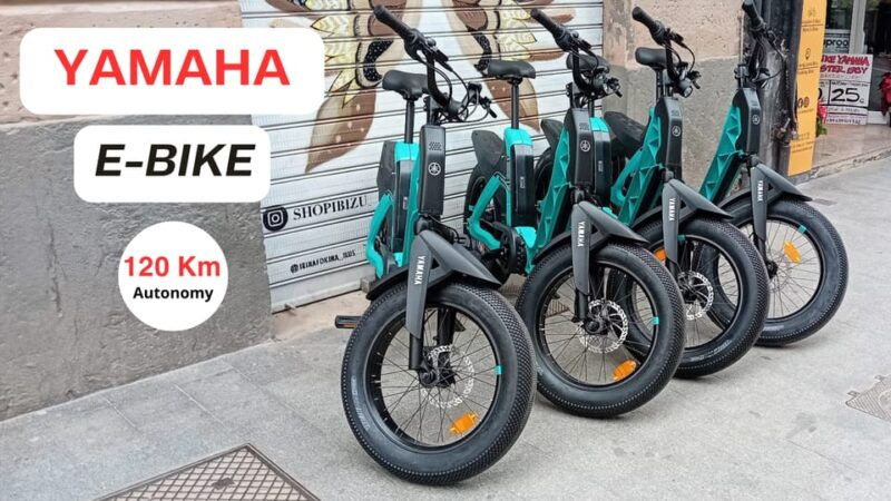 valencia-old-town-to-modern-marvels-premium-ebike-yamaha