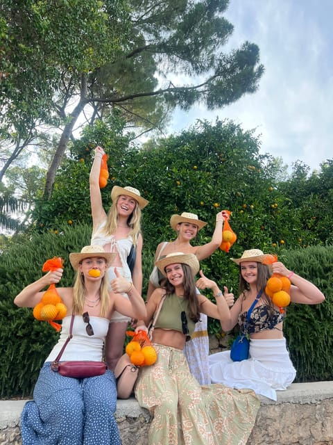 valencia-orange-farm-and-orchard-trip-with-tastings