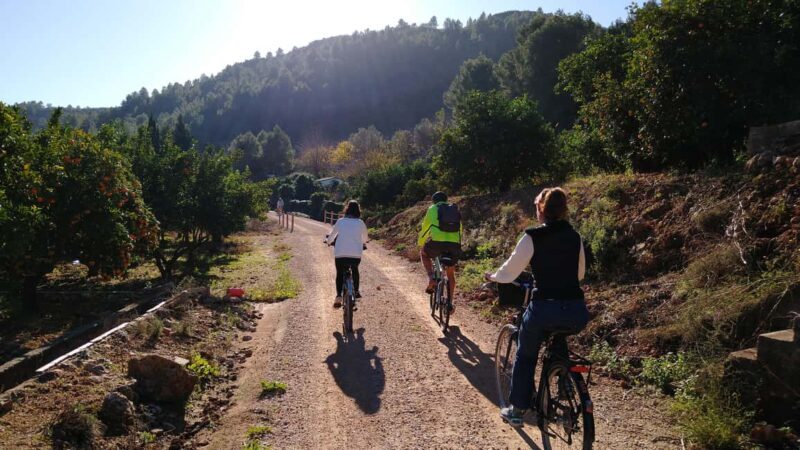 Valencia: Orange Grove Bike Tour with Monastery Visit - Overview of the Tour Experience