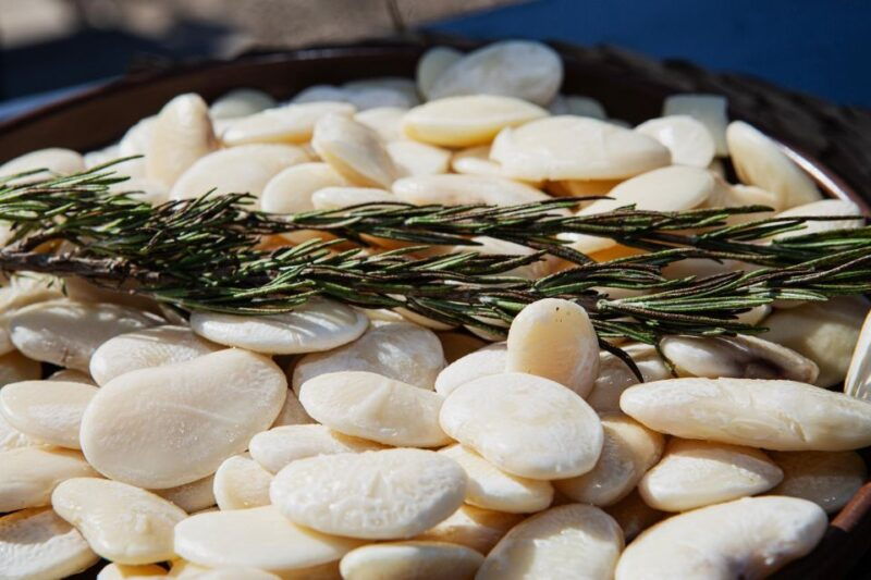 valencia-paella-full-experience-workshop-at-villa-indiano