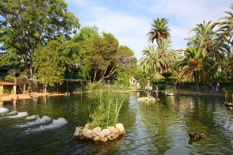 Valencia Parks: Private Tour on Bicycle, E-Bike or E-Step - FAQ