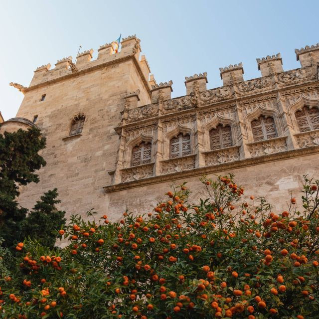 valencia-private-and-guided-city-walking-tour