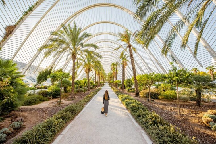 valencia-private-brunch-tour-with-basic-spanish-learning