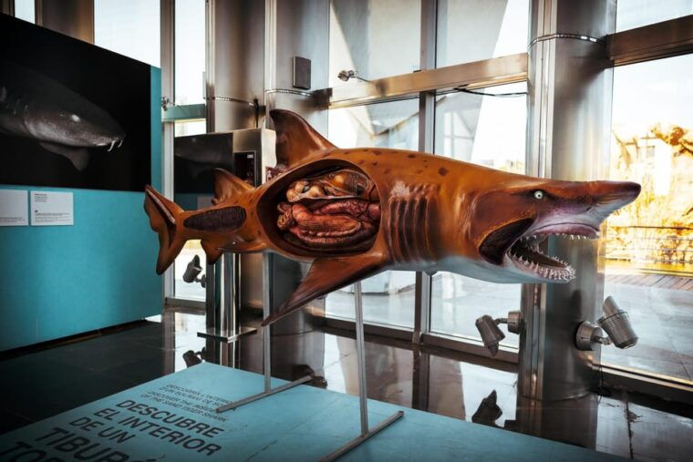valencia-private-family-tour-with-churros-parks-museum
