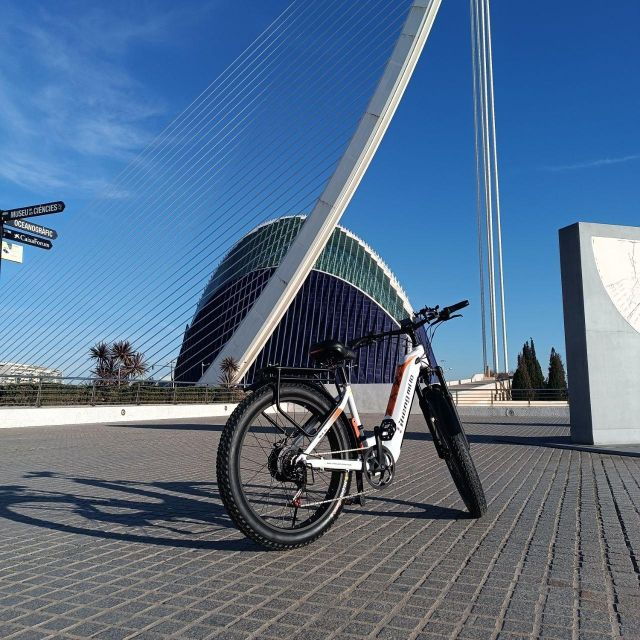 valencia-the-albufera-lake-self-guided-e-bike-tour