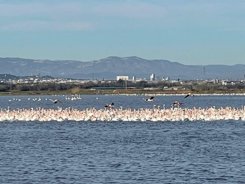 valencia-the-albufera-lake-self-guided-e-bike-tour