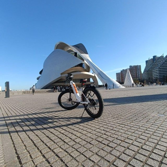valencia-the-albufera-lake-self-guided-e-bike-tour
