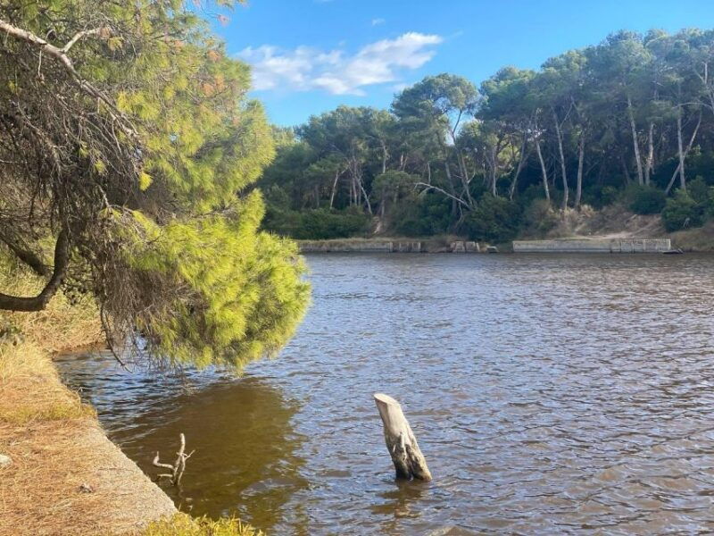 valencia-the-albufera-lake-self-guided-e-bike-tour