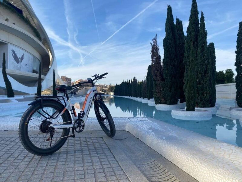 valencia-top-25-highlights-guided-bike-tour-2