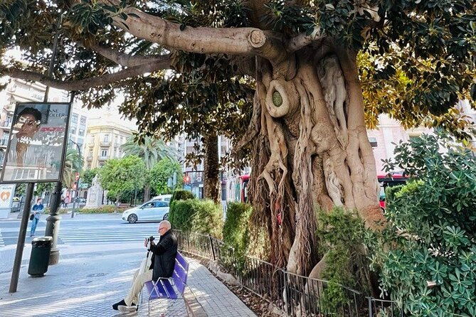 valencia-top-25-highlights-guided-bike-tour