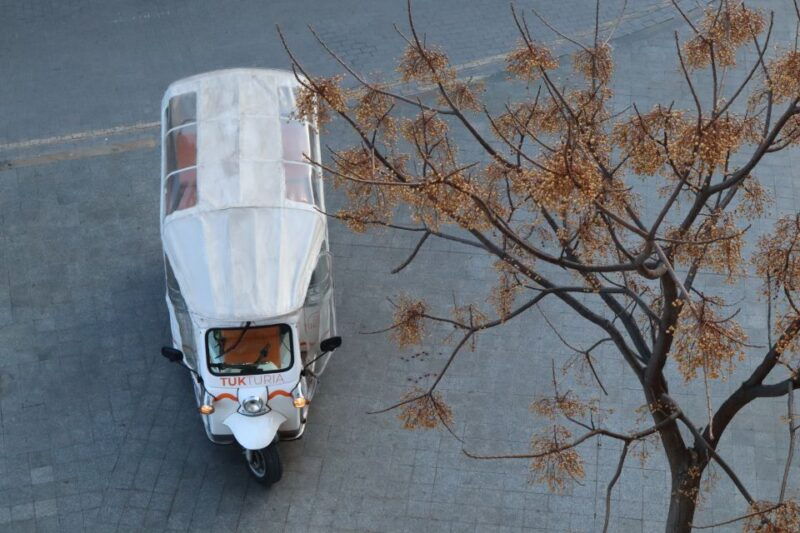 valencia-tuk-tuk-historical-tour-2