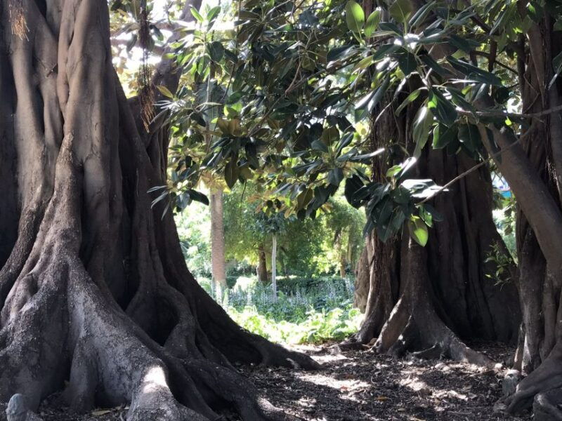 valencia-turia-cabecera-park-private-segway-tour