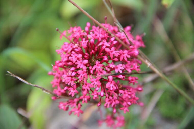 valencia-turia-cabecera-park-private-segway-tour