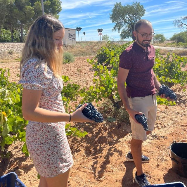 valencia-utiel-requena-cave-winery-day-trip-with-tasting