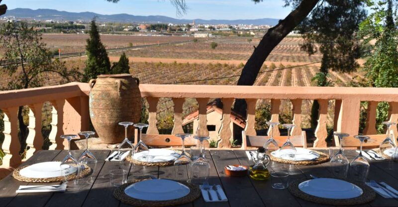 valencia-utiel-requena-cave-winery-day-trip-with-tasting