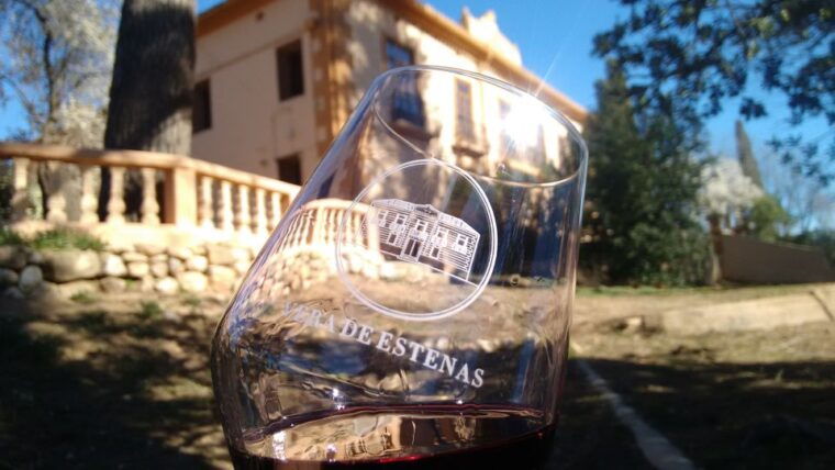 valencia-utiel-requena-cave-winery-day-trip-with-tasting