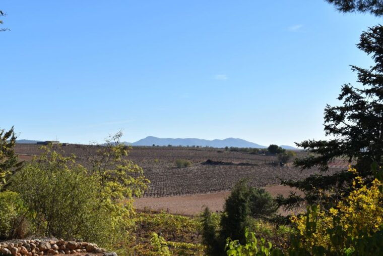 valencia-utiel-requena-cave-winery-day-trip-with-tasting