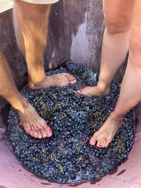 valencia-utiel-requena-cave-winery-day-trip-with-tasting