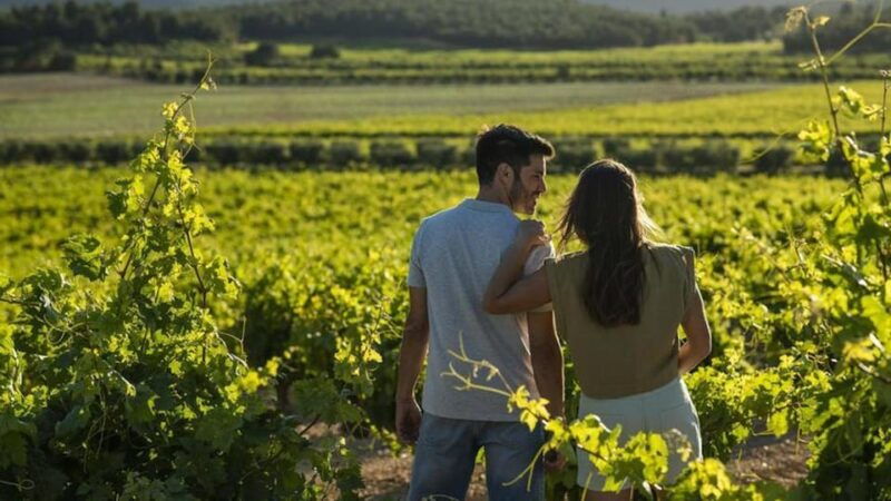 valencia-vineyard-tour-with-local-wine-tasting-appetizer