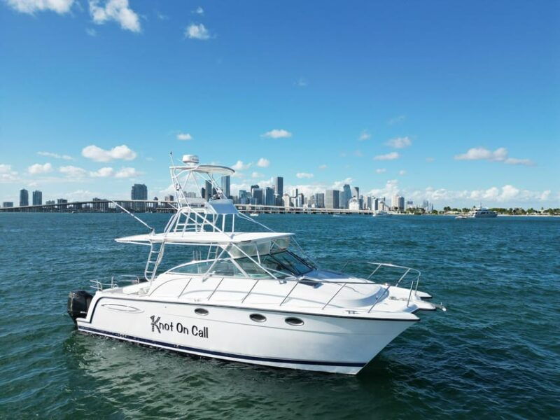 valencia-vip-sunset-cruise-in-catamaran-with-drink