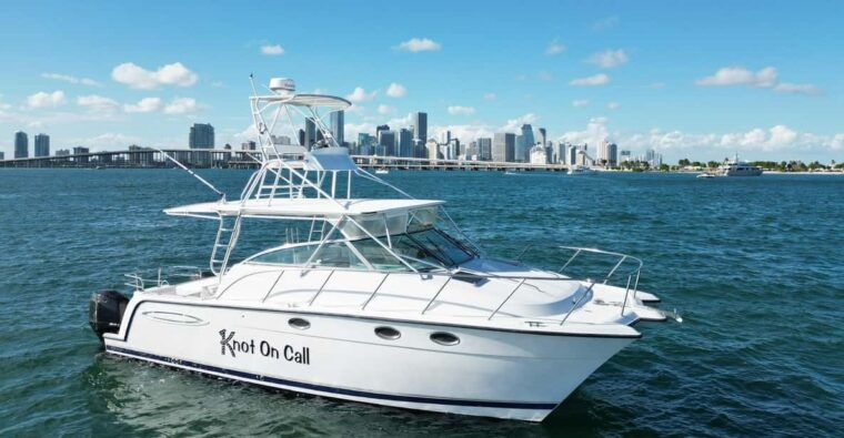 valencia-vip-sunset-cruise-in-catamaran-with-drink