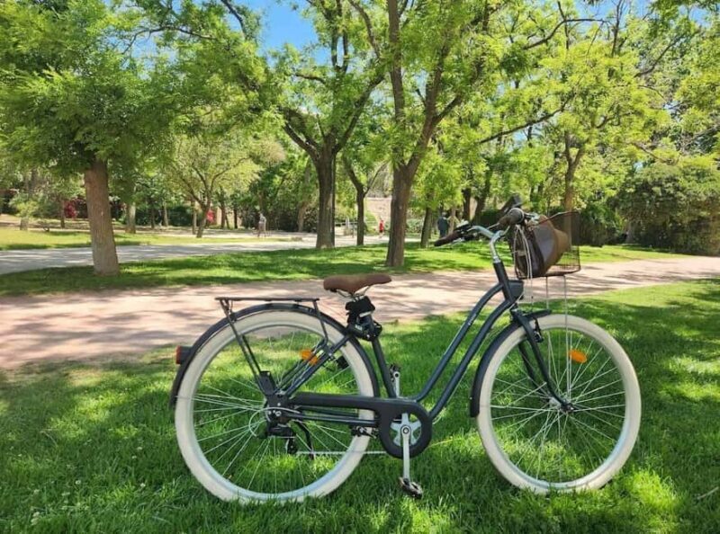 Valencia Volt Bike Rental: 4-Hour Bike Rental - Exploring Valencia on Two Wheels: What to Expect