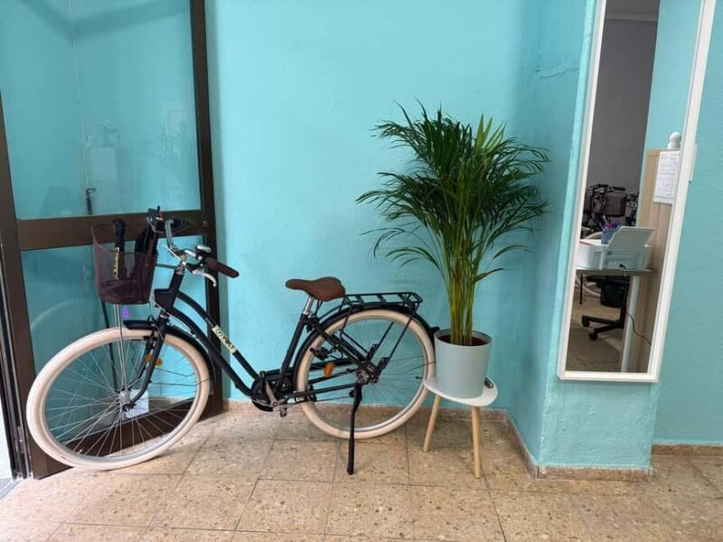 Valencia Volt Bike Rental: 4-Hours Electric Bike Rental - Valencia Volt Bike Rental: 4-Hours Electric Bike Rental